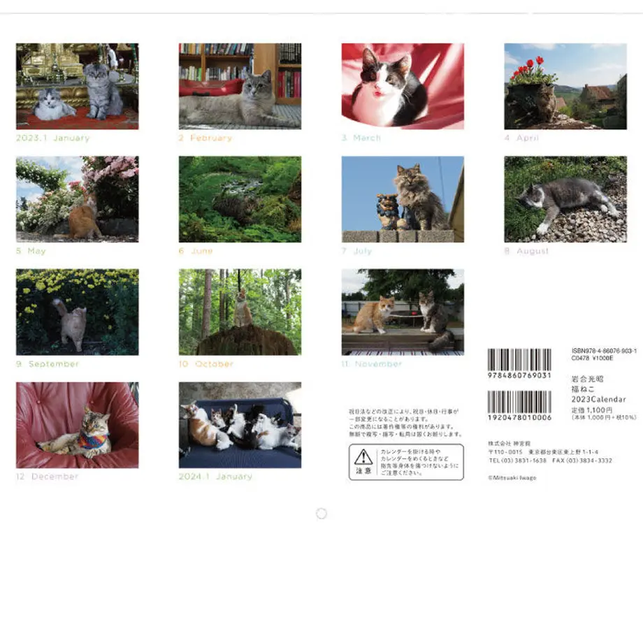 5dce024f4c4ae85296d68648