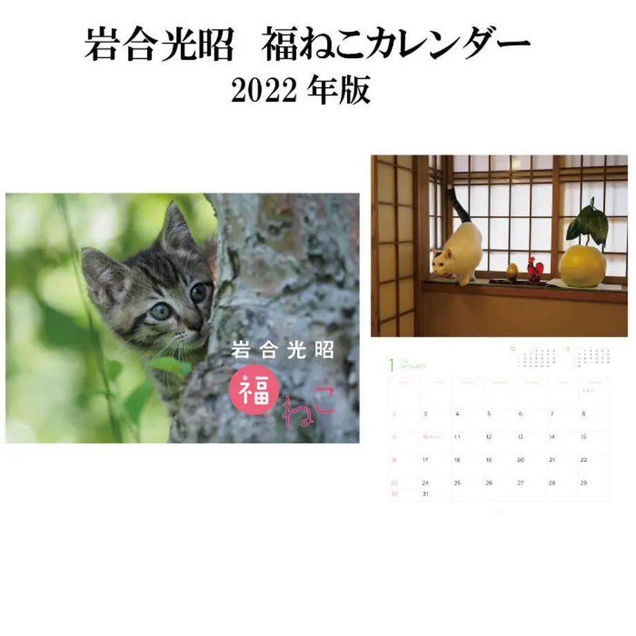 5dce024f4c4ae85296d68648