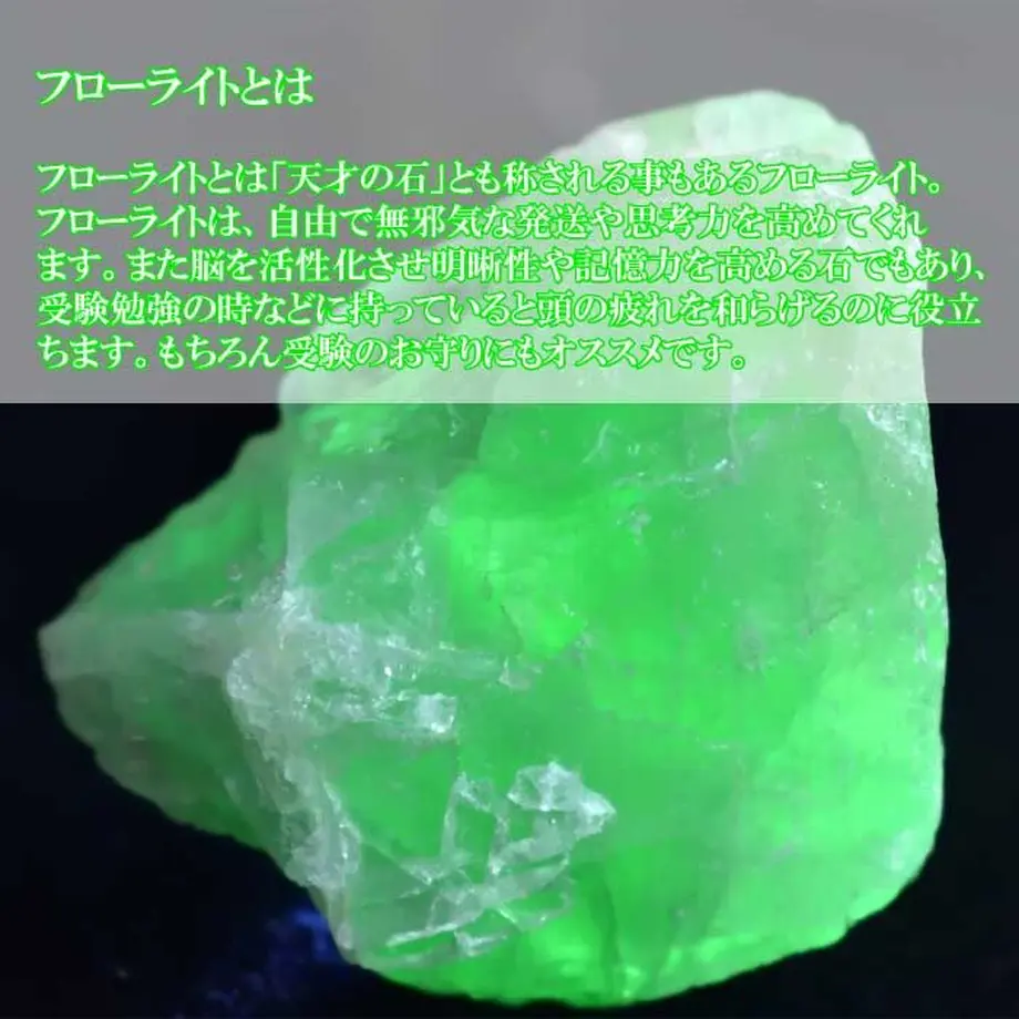 62188b6bbc44dc186a4651b5