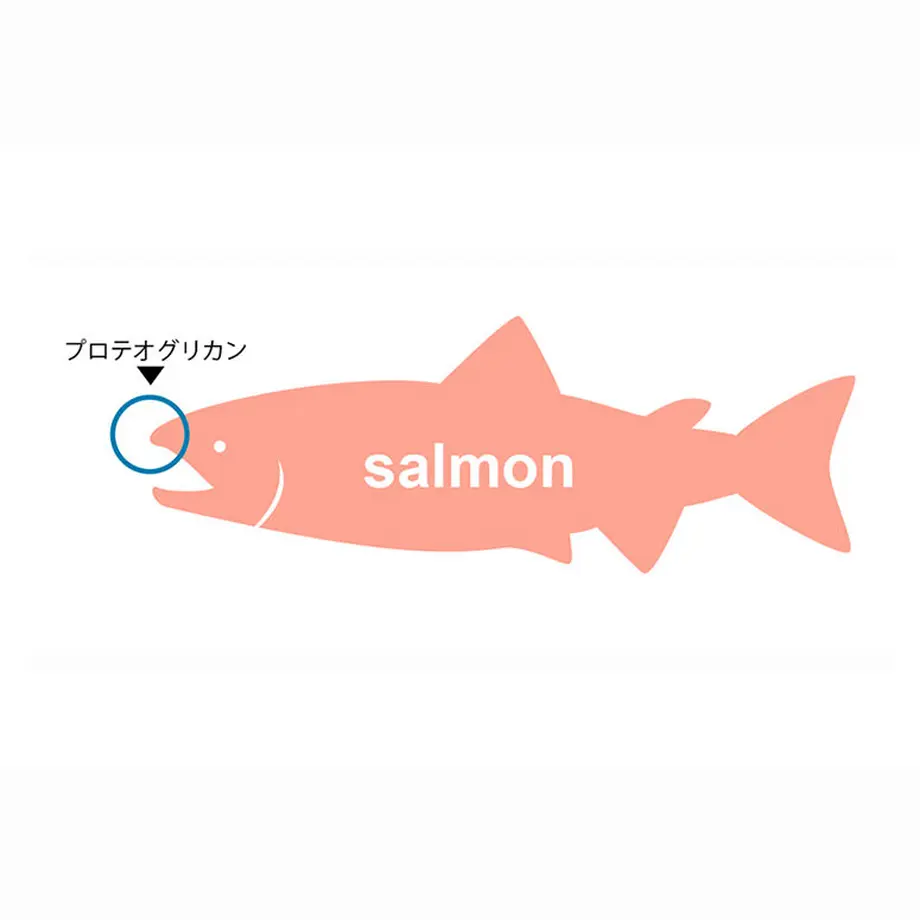 6039f31b6e84d5712c294c66
