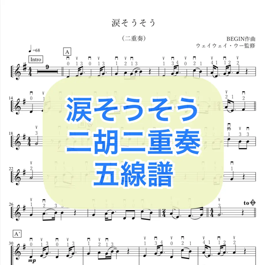6177c48cac366155873c0867