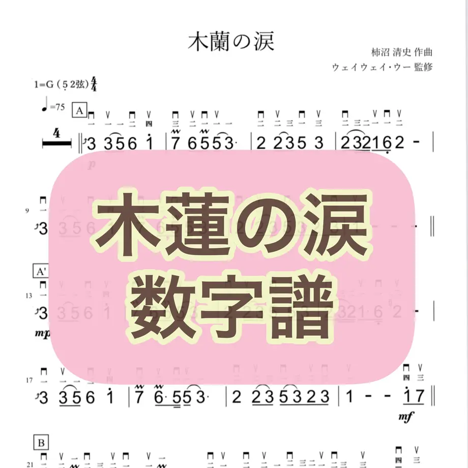 5f5245abee28e53da69ebc50