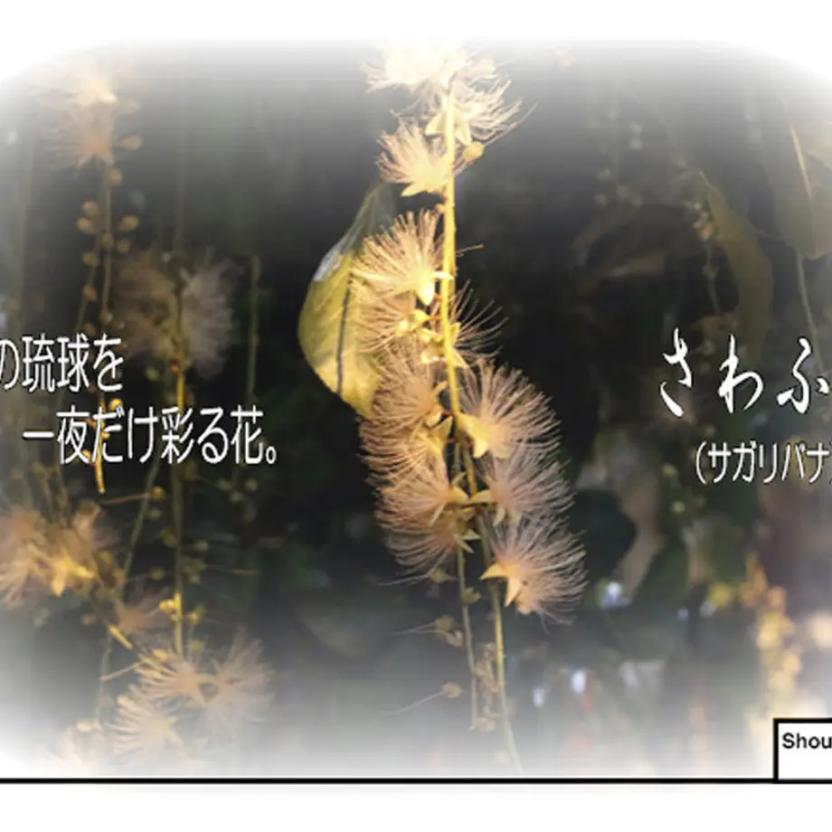 5e12d4d15b120c2c2acf2308