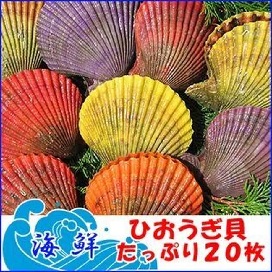60791bb5a87fc51869f5af03