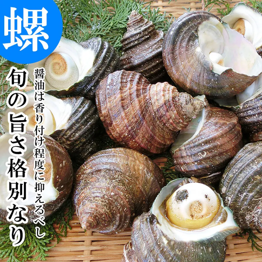607920cea87fc538d9f5a1d3