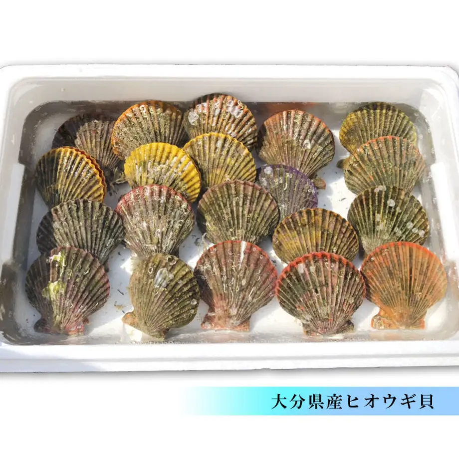 60791a87baeb3a3c60e3721d