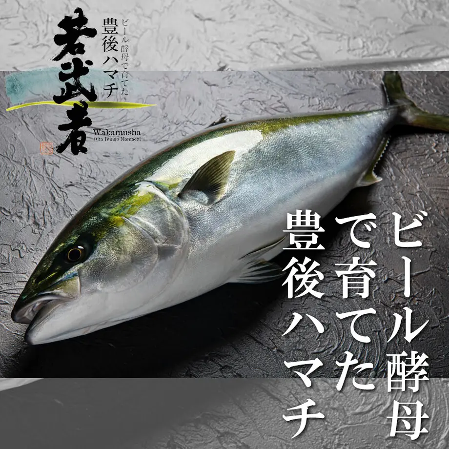 6073ec2c23055752d7b972bd