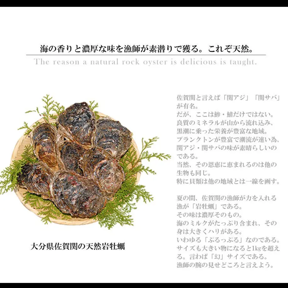 6078f5e9a87fc54809f5a189