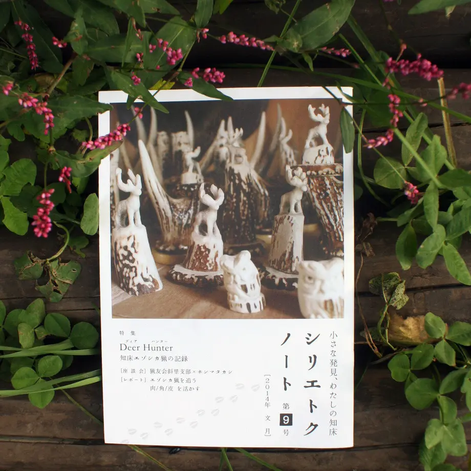 537d17f3236a1e1d020000d1