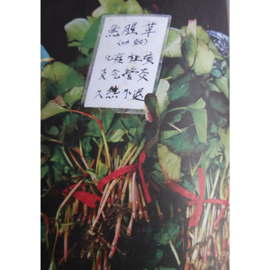 60d1f92ae9ccb26ac7ddd153