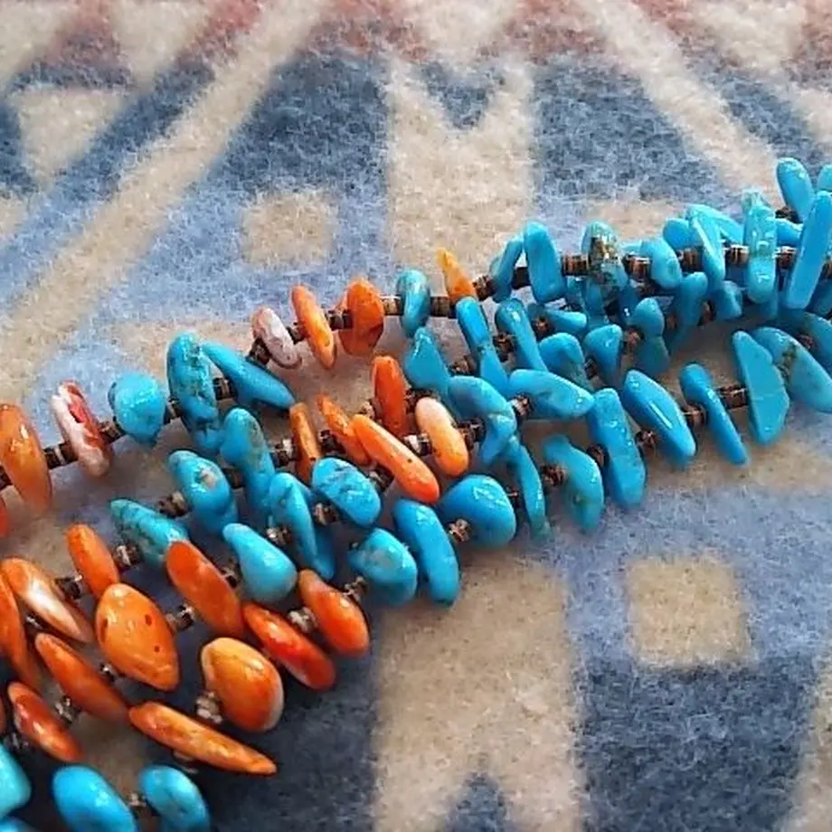 56e3f0ac2b34926c6900669b