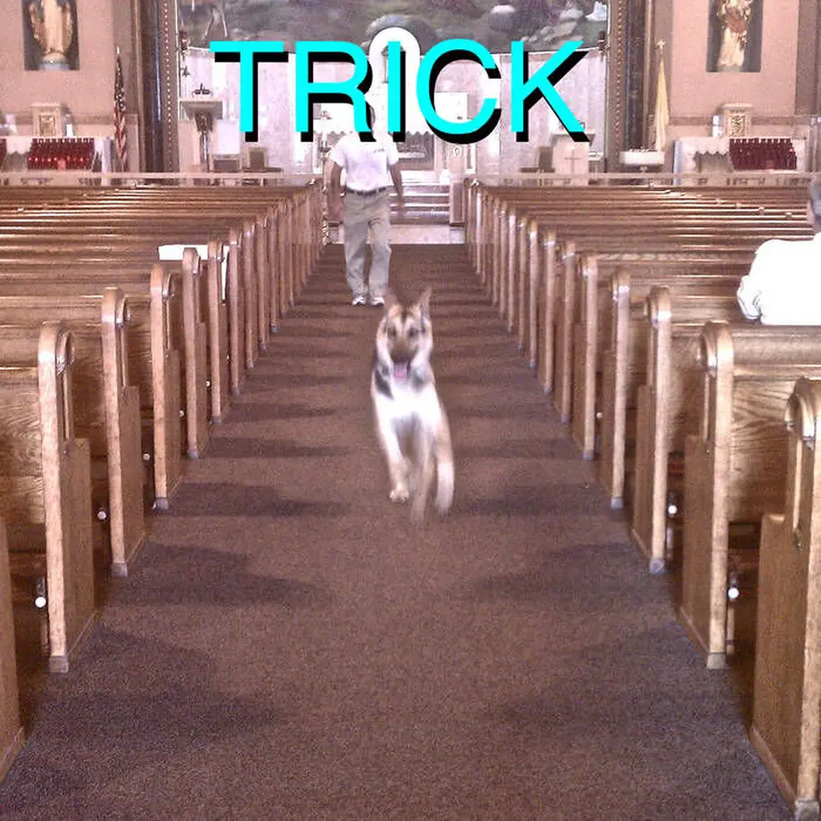62f3863923747f3bd0c1eec9