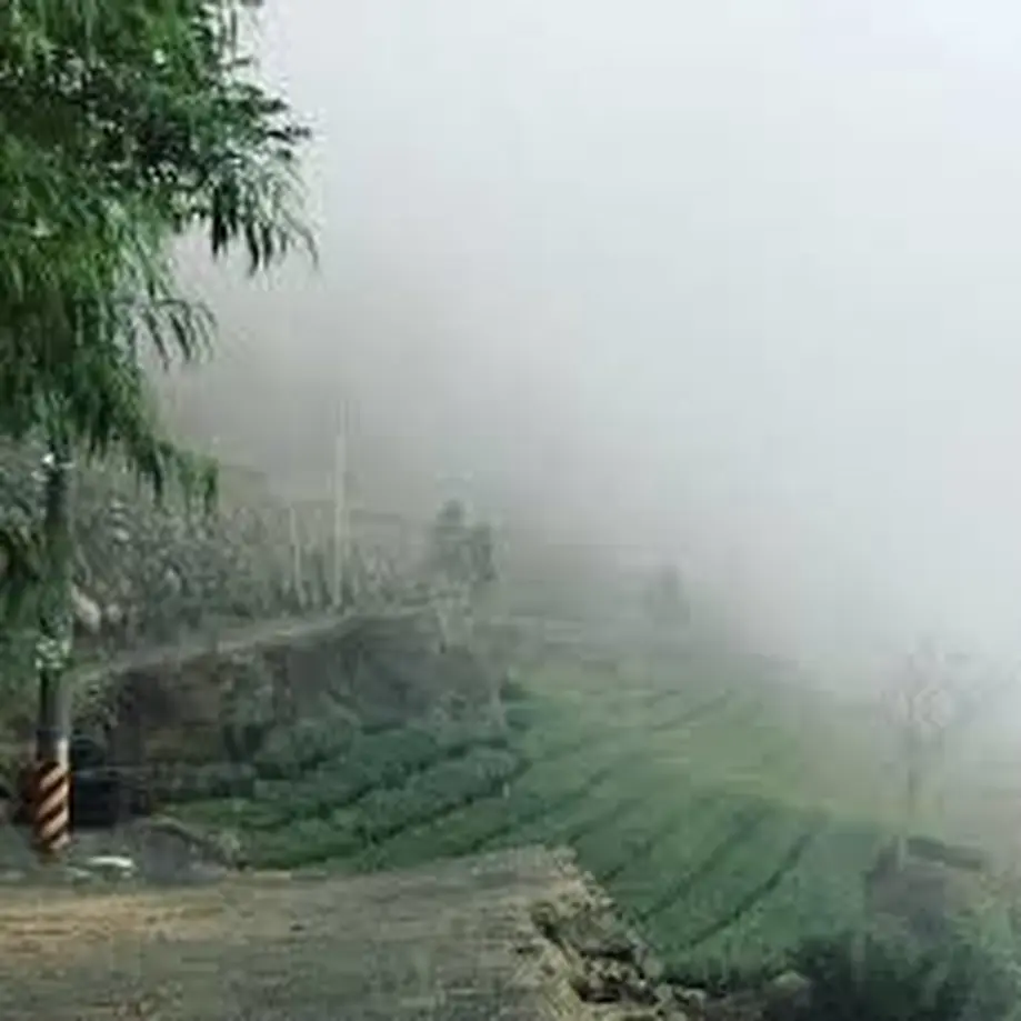 5d95ad95ff78bd4f82db8891