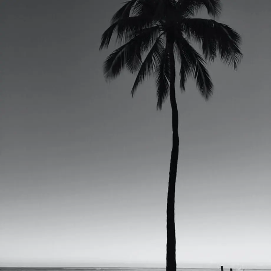 618155fe0548e05fd708ff28
