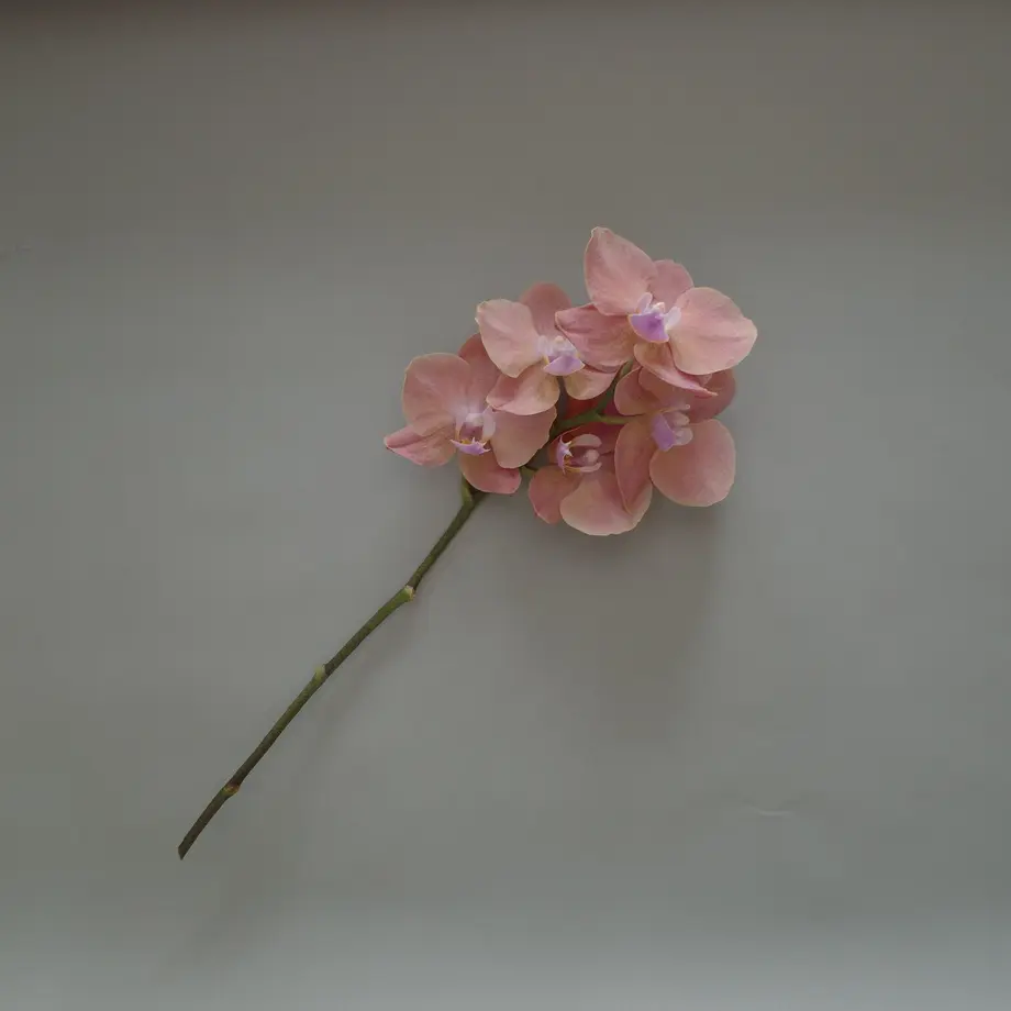 60f2be9021a16672a50f5fd7
