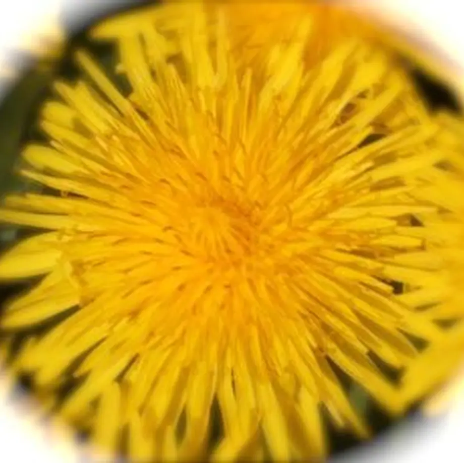 606d5840a87fc503398ccab8