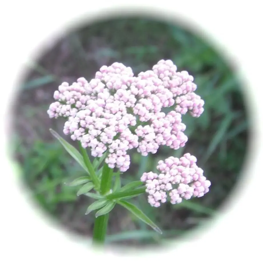 606d5840a87fc503398ccab8