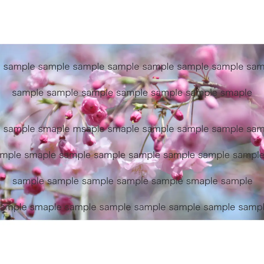 5ec26d81bd21780ea08ec20c