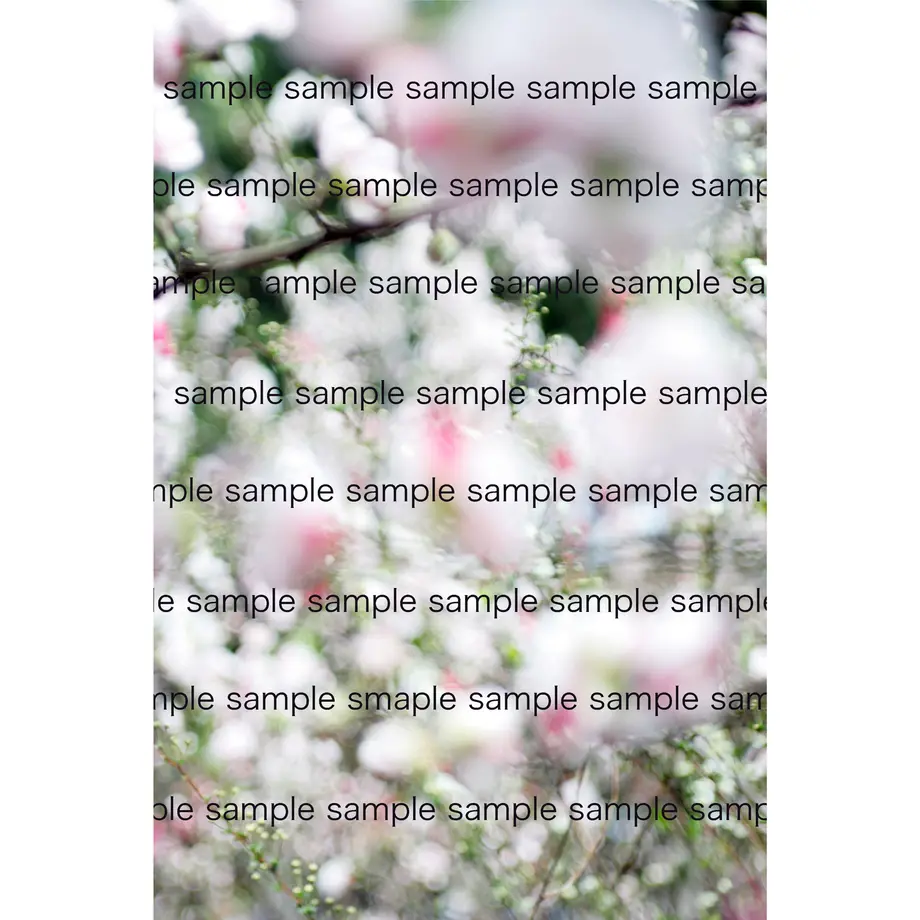 5ec2708b515762516e556b9a