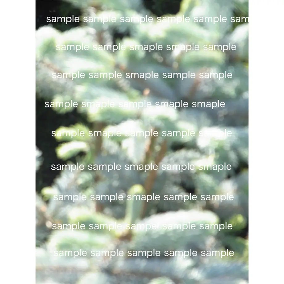 5ebe70b072b911447af0ae4a