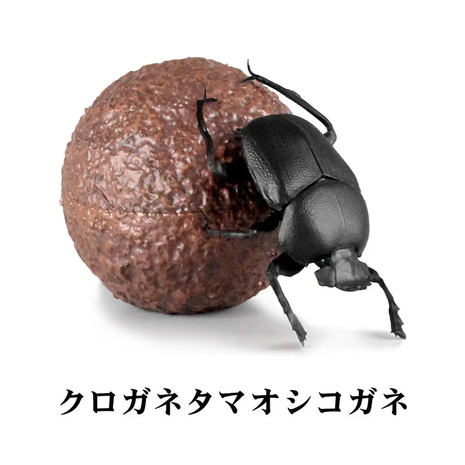 63ca2d98fed27a67d76403d3