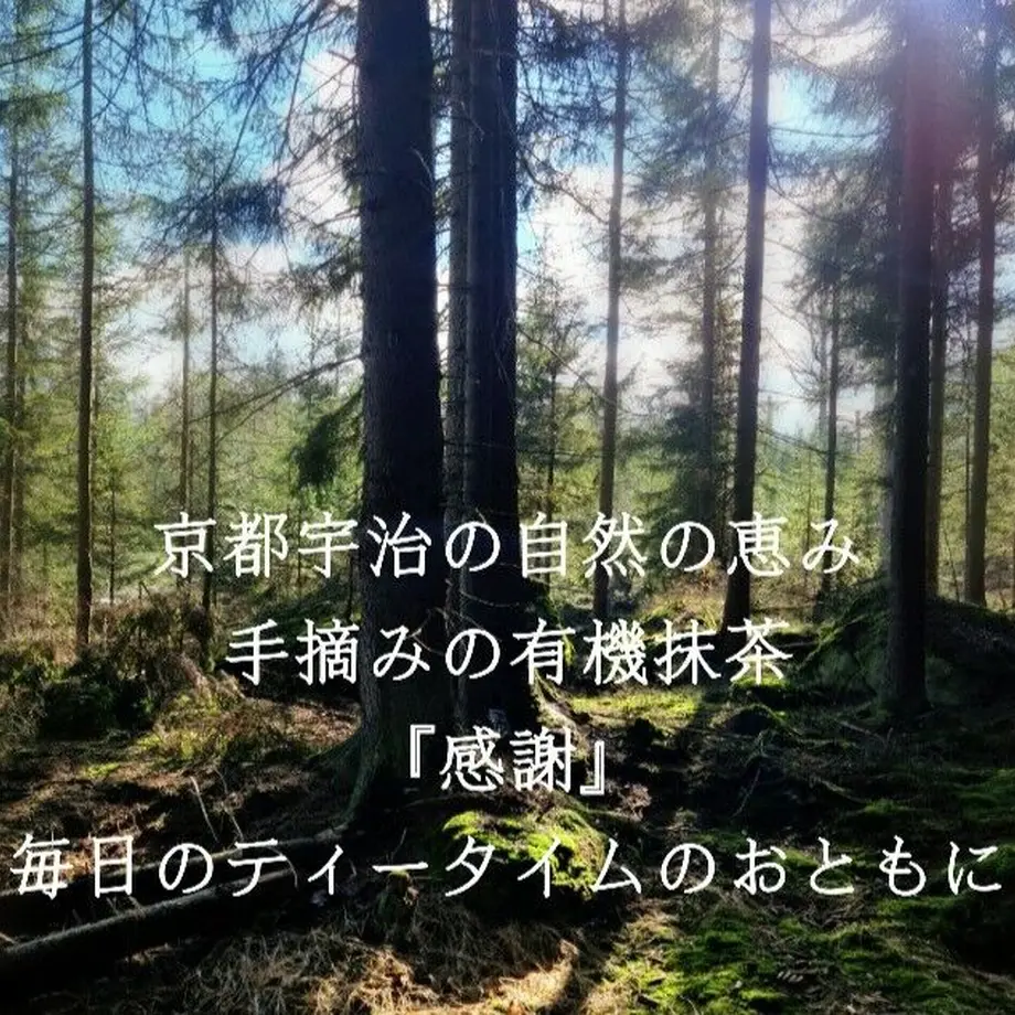 608a994be70dc42e4ba05142