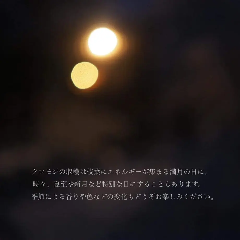 6101ec1056e0f155a7d06bf8