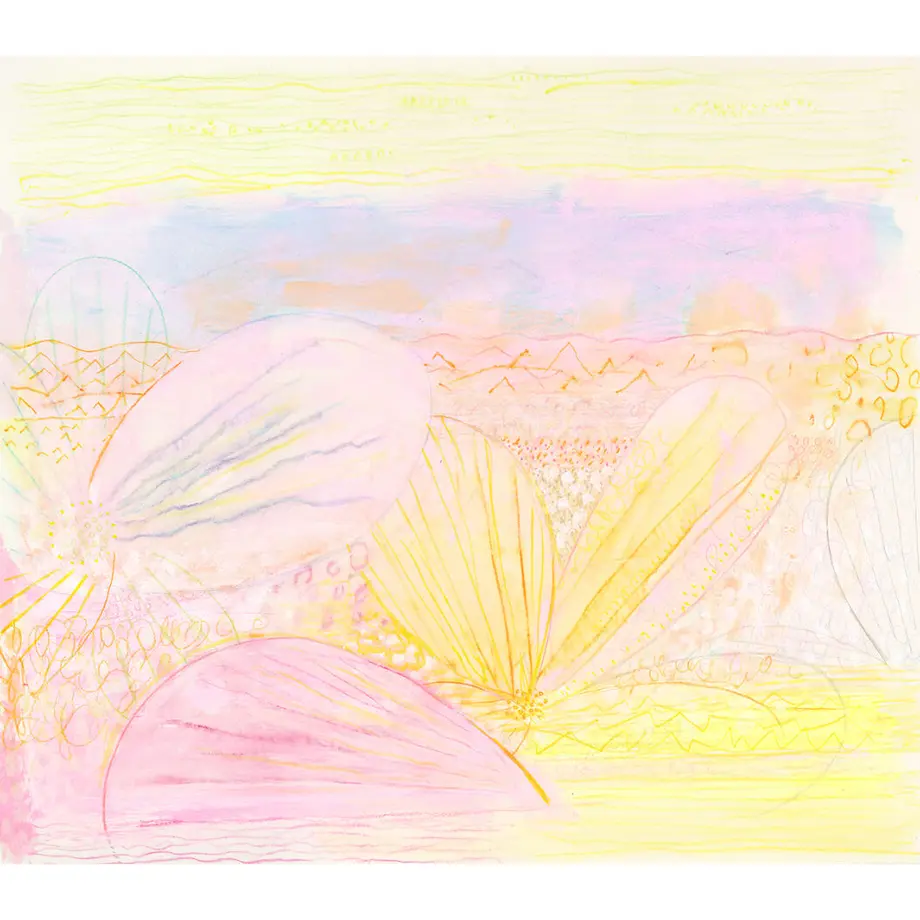 61f8c01ebc44dc2b9026fed3