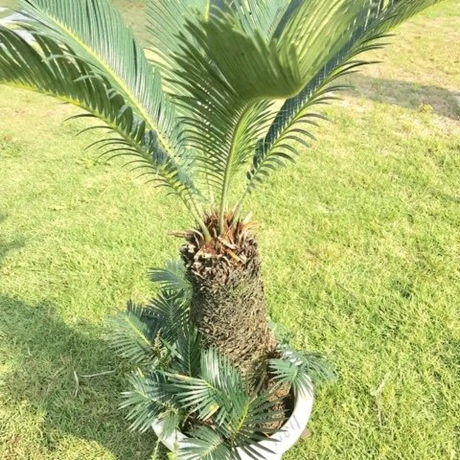5c67c760e73a2556c01e5871
