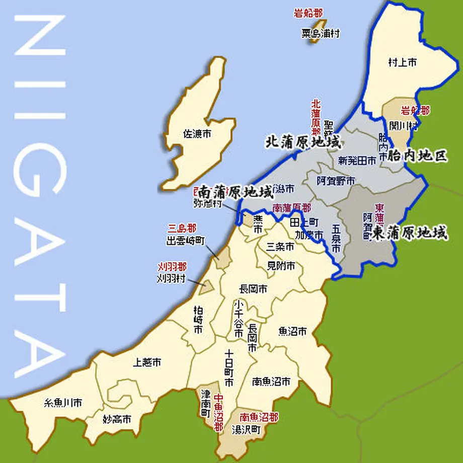 5f43d979223ead220fe7c273