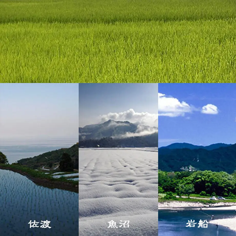 6168fe7f440542526e1188c3