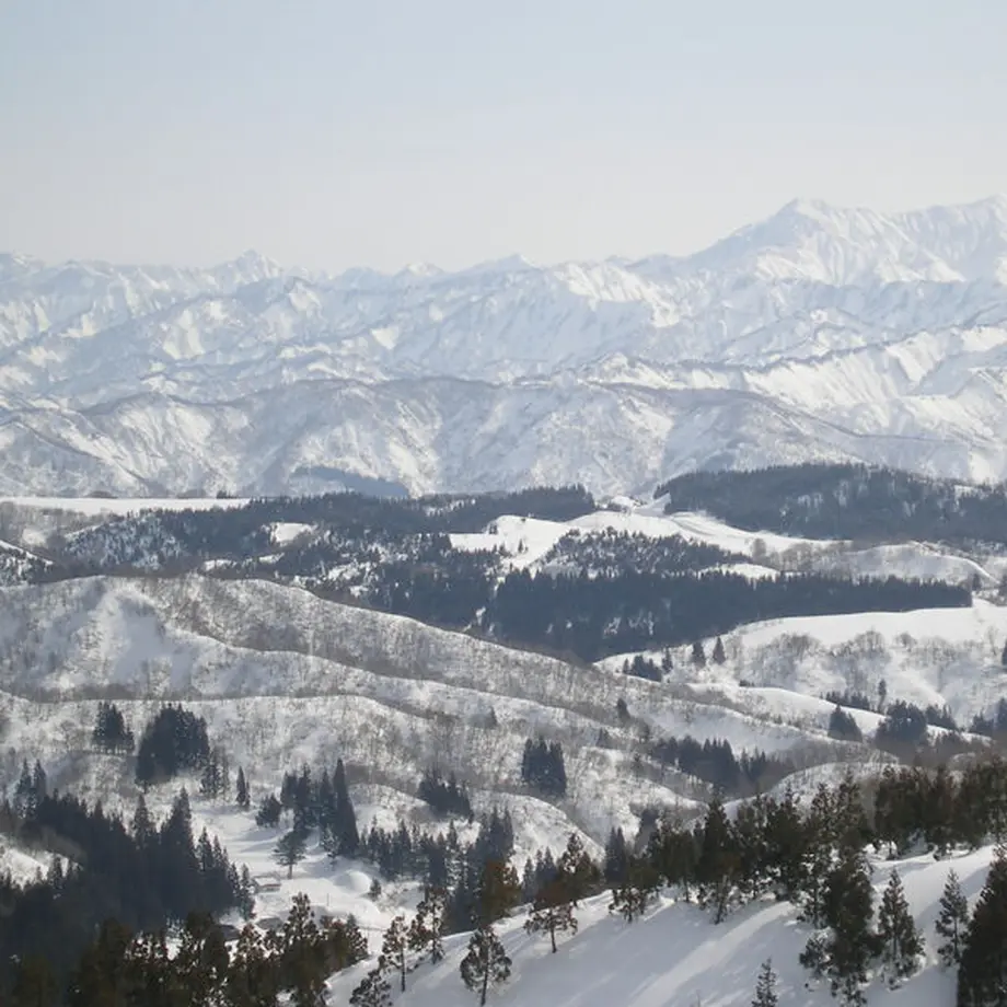 5f2971237df281711abf0122