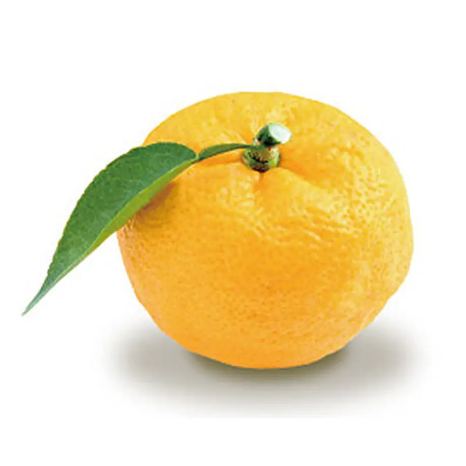 5f314108d3f16765d33dbdbe