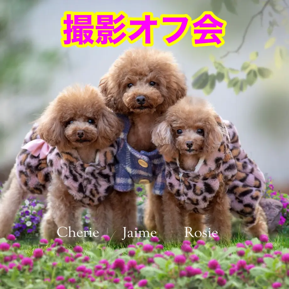 603362f5aaf0433d262201ce