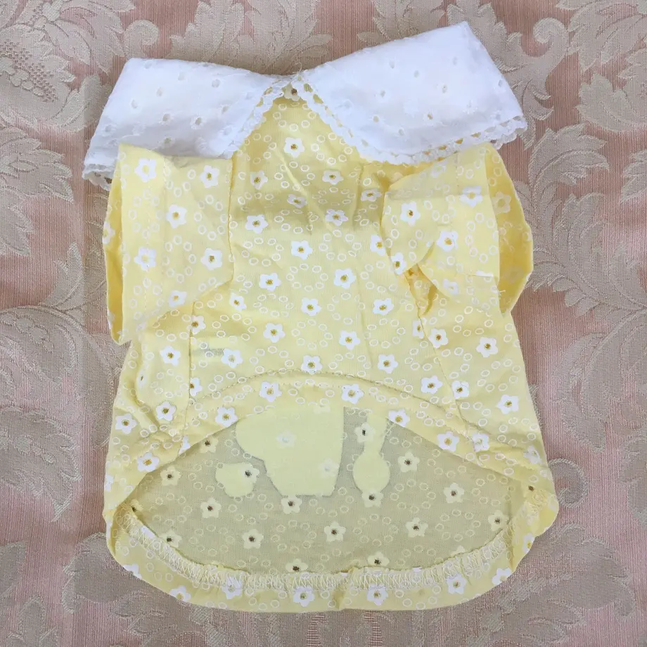 5922a98aed05e609ac00283a