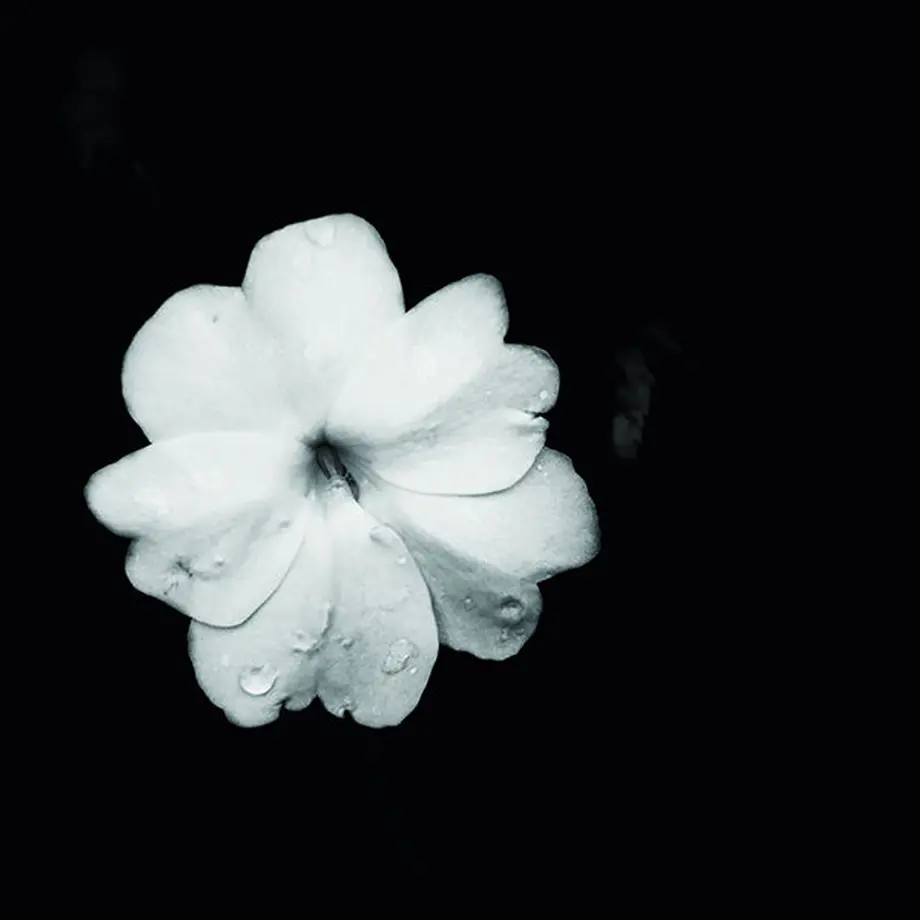5fd7ed36f0b108122c8bfa9b