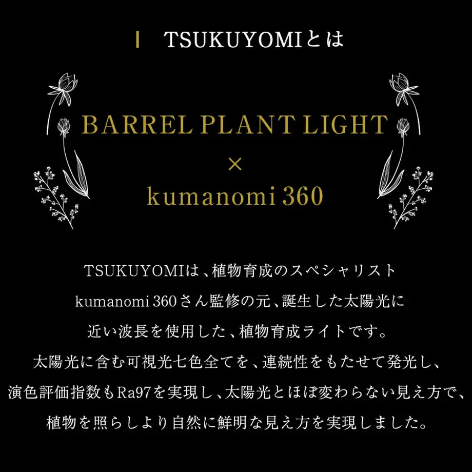 62c698100f683c7f73d2664d