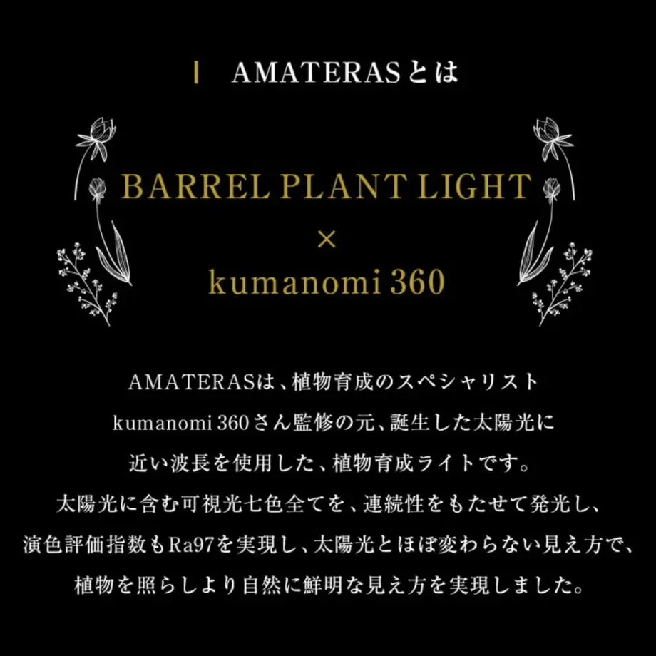 60e2f879228d2674e23c2447