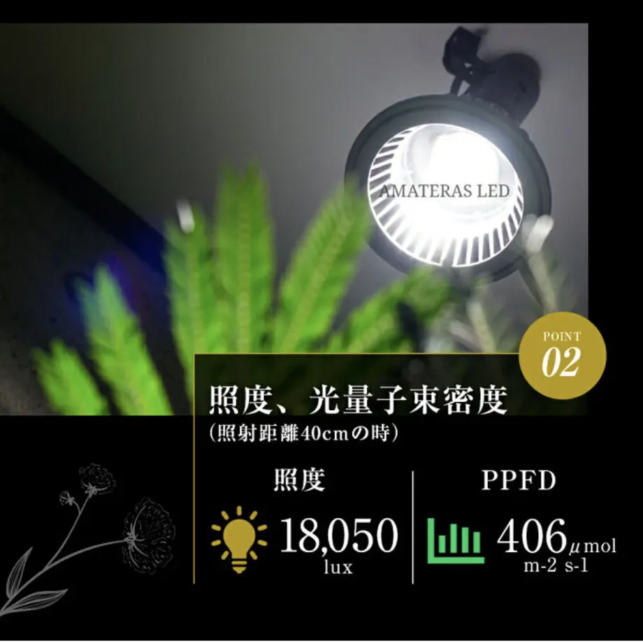 60e2f879228d2674e23c2447