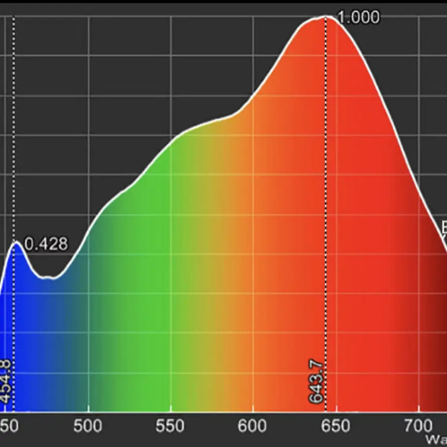 62c695ba40ebf07ec9a77480