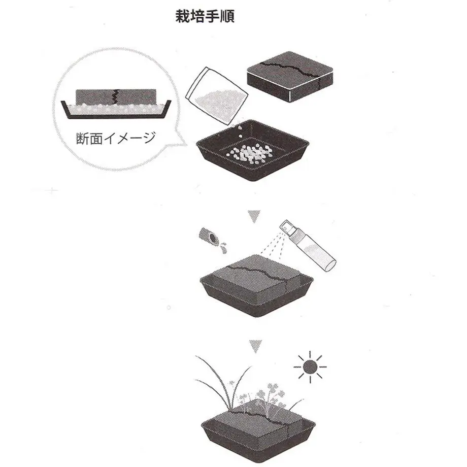 614b3c2923055742d6accb6e