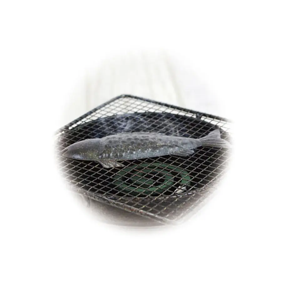 60fd3d1e640dfc4c36a5088e