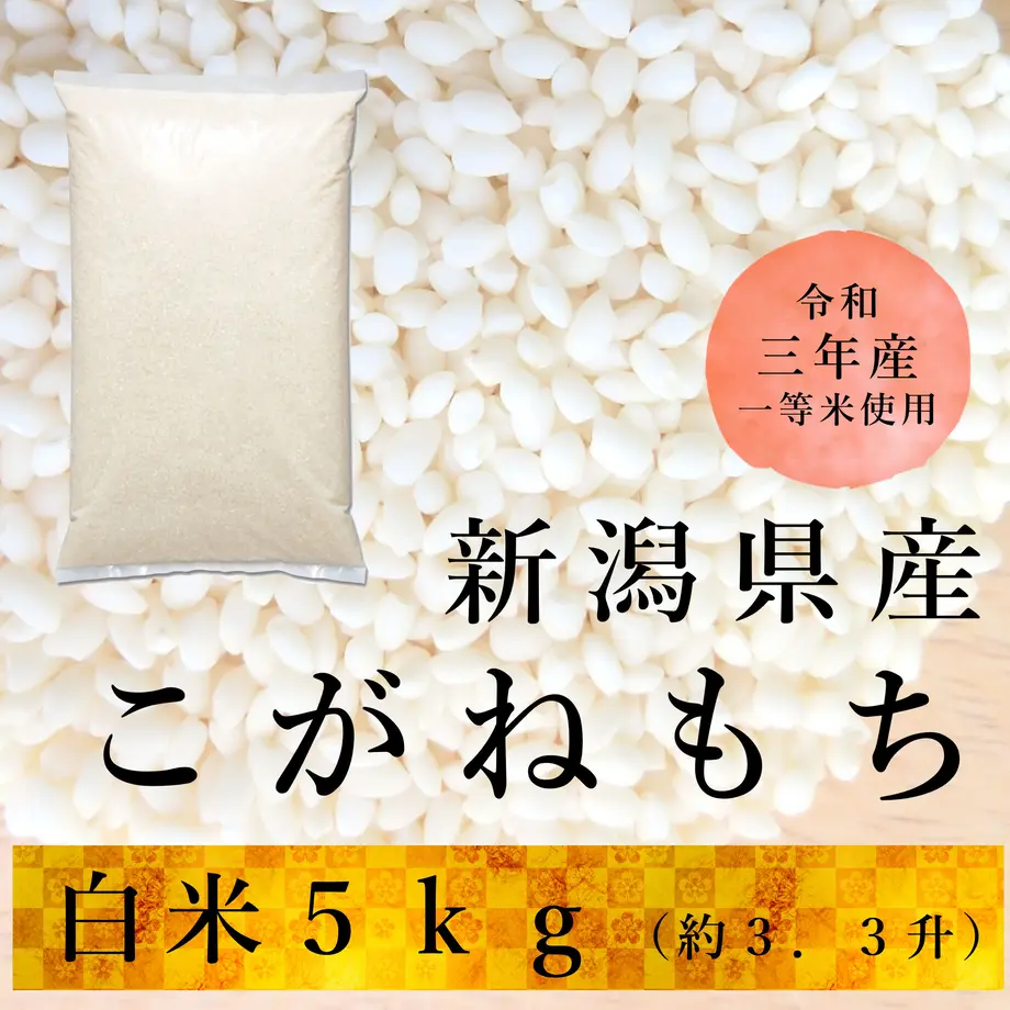 6195ac45a8755346ee8aae44