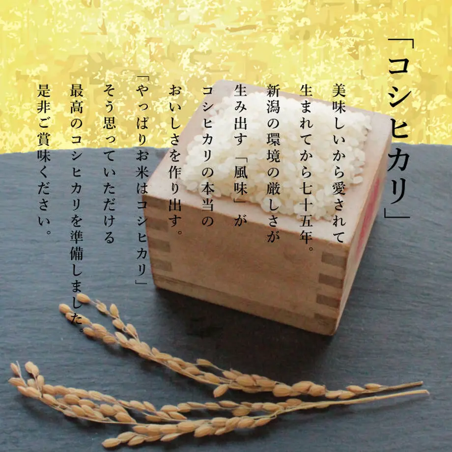 605e9148a87fc536cc5f5dd9