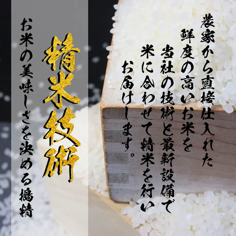 61356d78e406b81048aa32e8