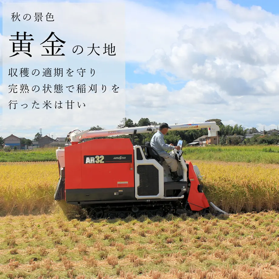 61356d79e406b81048aa32ef