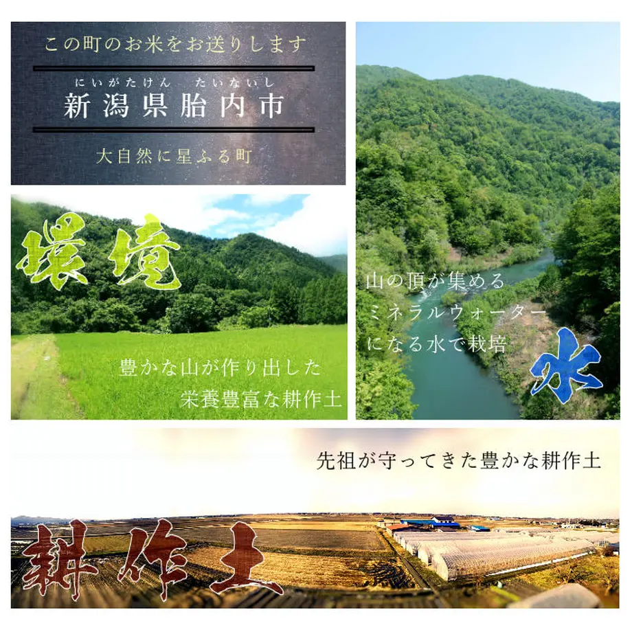 5ddce4b14fb6c7071c9011da