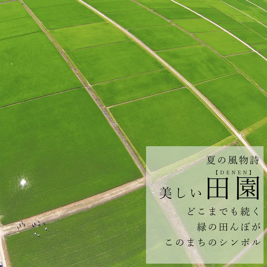 619b1974863b7324a068b225