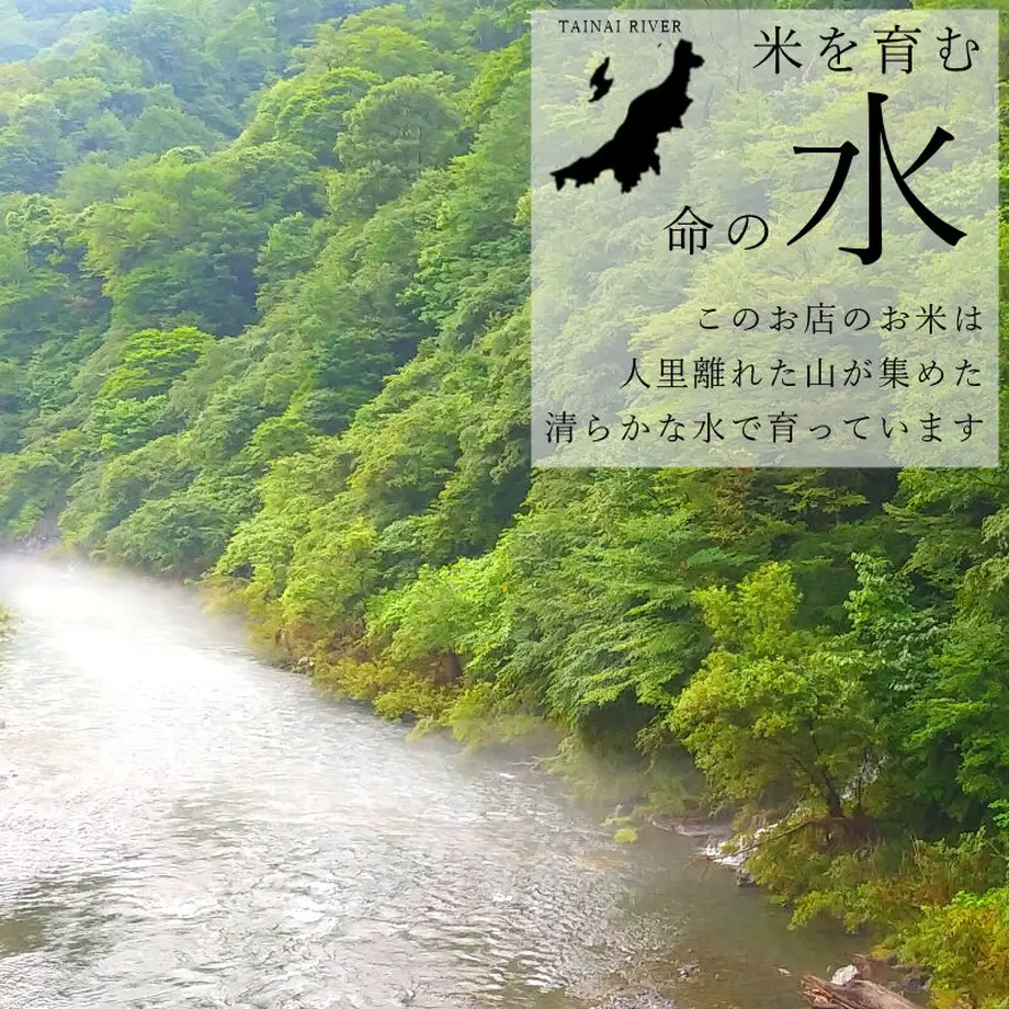 619b04fd863b7324e368afc3