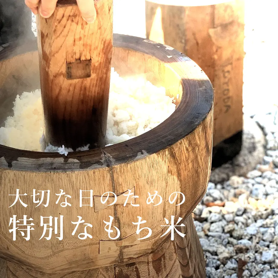 6195ac45a8755346ee8aae44